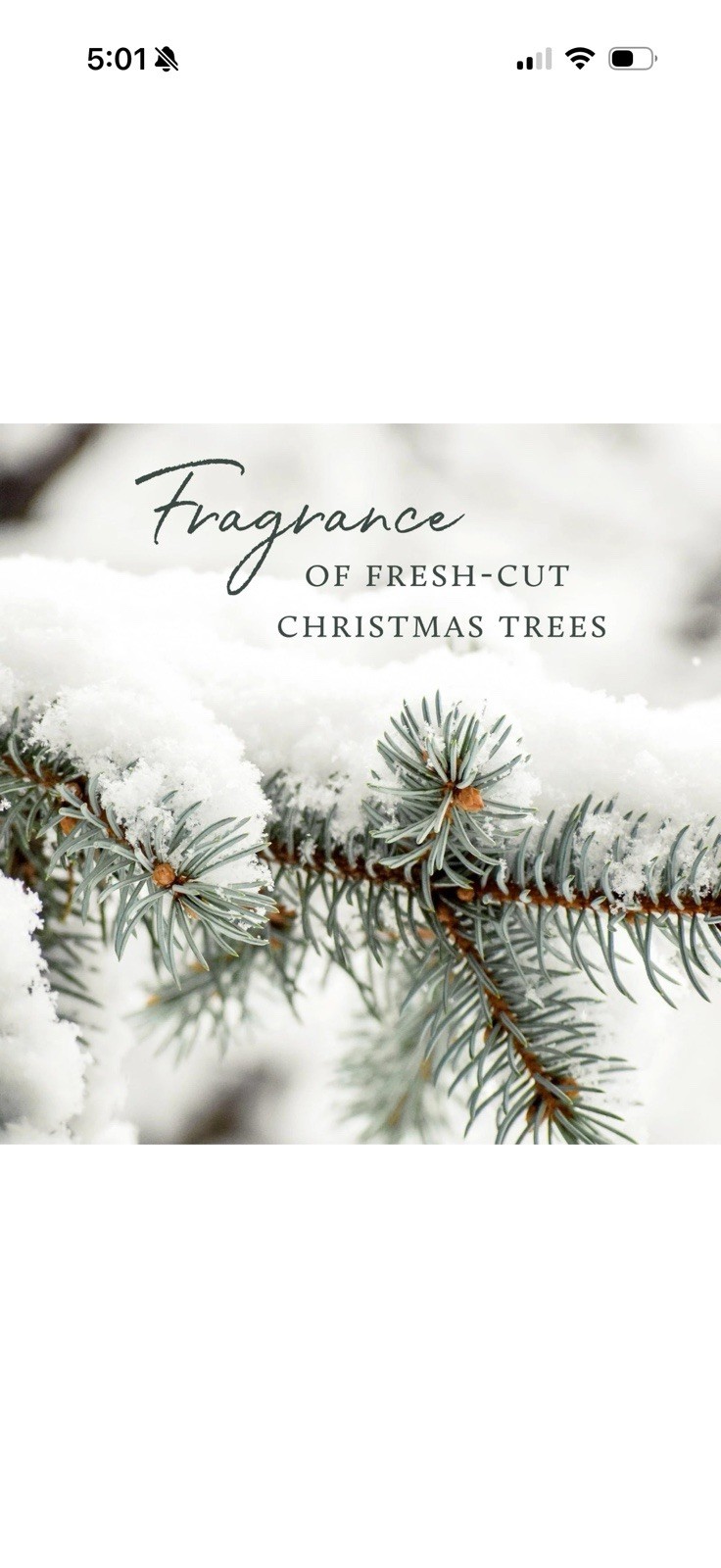 Thymes Frasier Fir All-Purpose Cleaner 16 Fl Oz 475 ml