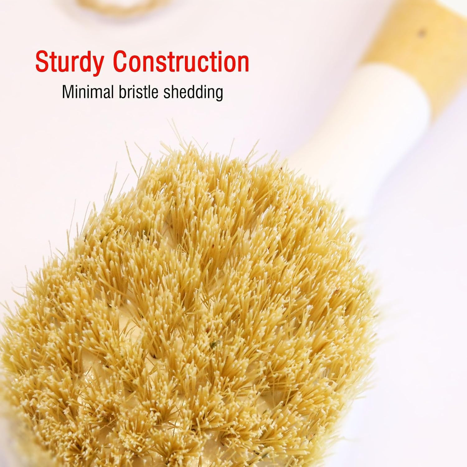 Natural Bristle Dish Brush Set, 1 Wooden Dish Brush and 1 Bamboo Dish Brush with