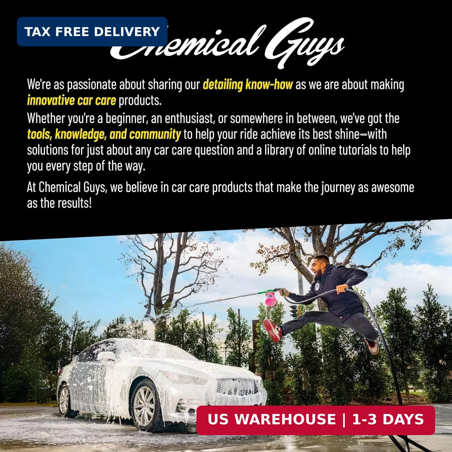 Chemical Guys Wheelie All Exterior Surface and Wheel Brush, Wheel Cleaner Brush