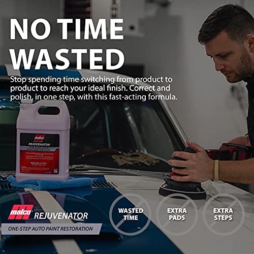 Paint Rejuvenator OneStep Automotive Paint Restoration/Clear Coat Scratch 32FlOz