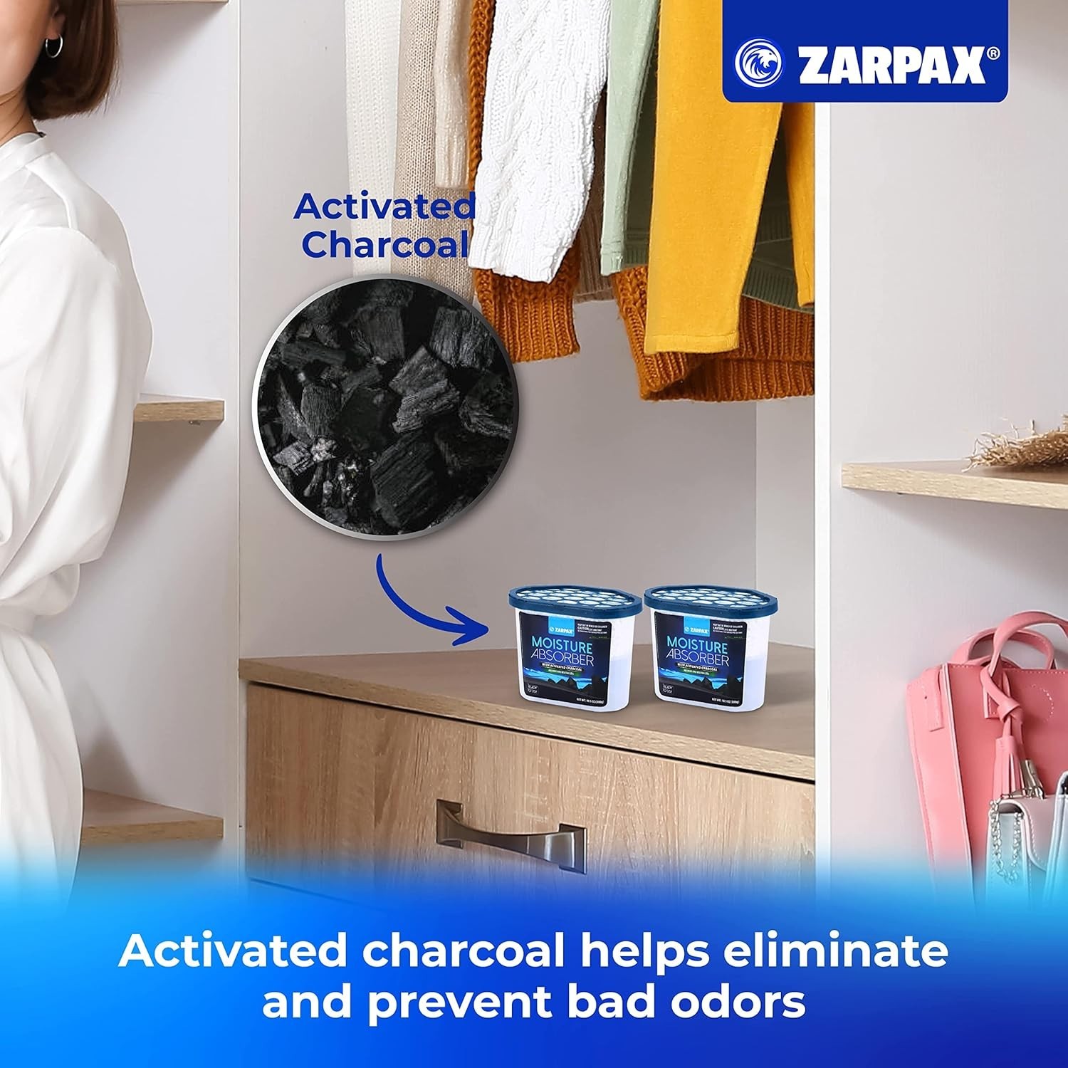 Moisture Absorber Activated Charcoal 10.5 oz/300g | Removes Moisture, Damp, H…