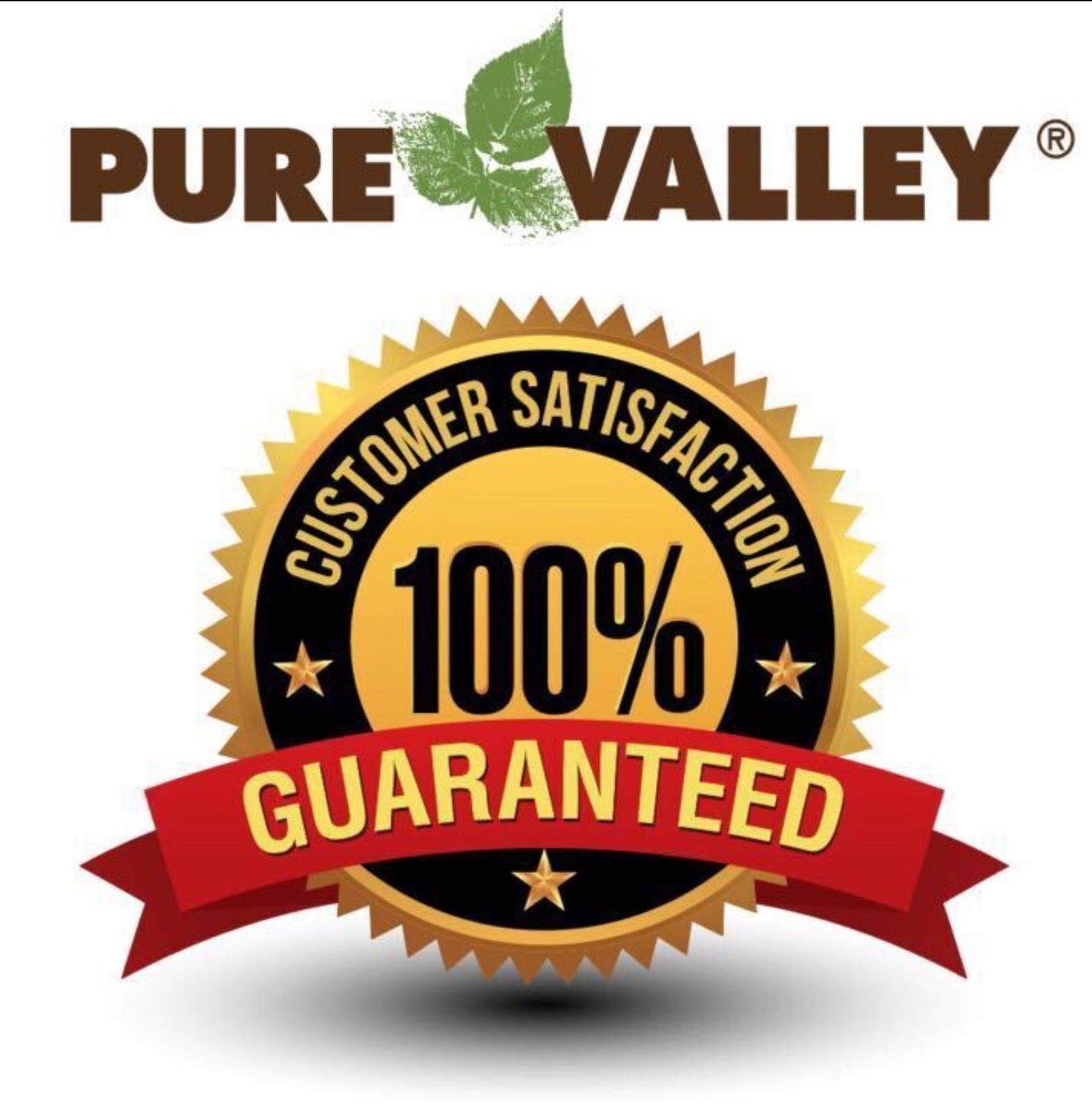 Headstone Cleaner For Graves & Memorials, Tombstone Cleaner Solution Removes …