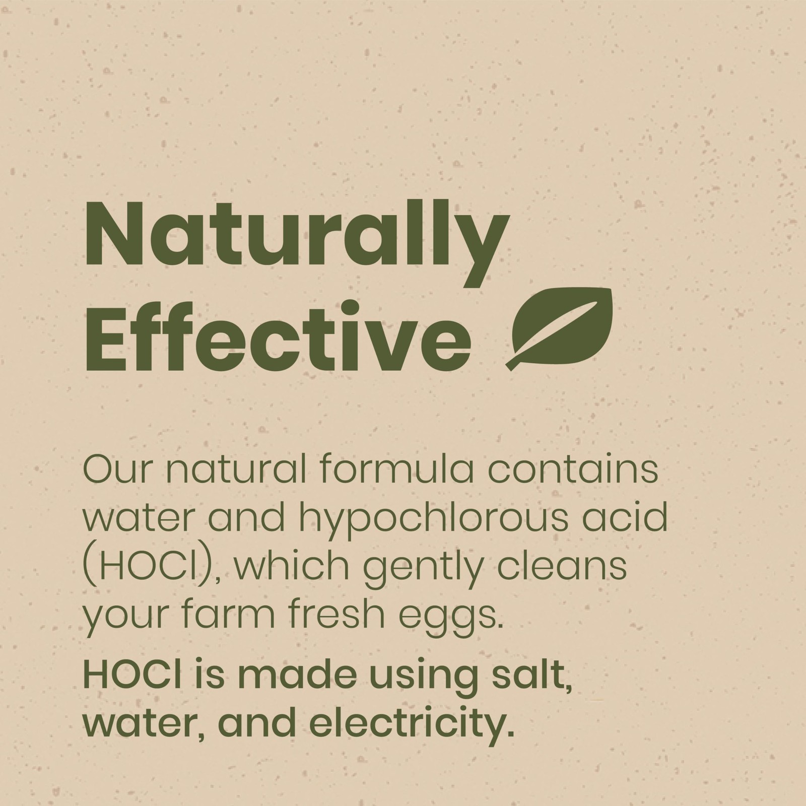 Nest Egg Wash Spray Natural Cleaner for Freshly Laid Eggs 32 Ounce Bottle