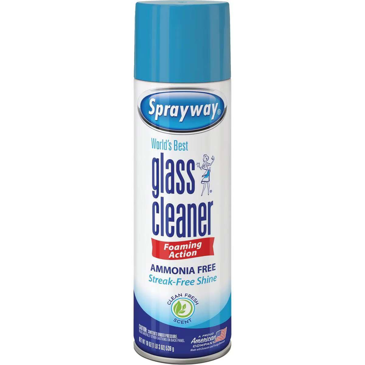 SW050R Sprayway 19 Oz. Glass & Surface Cleaner PLZ Corp Sprayway SW050R