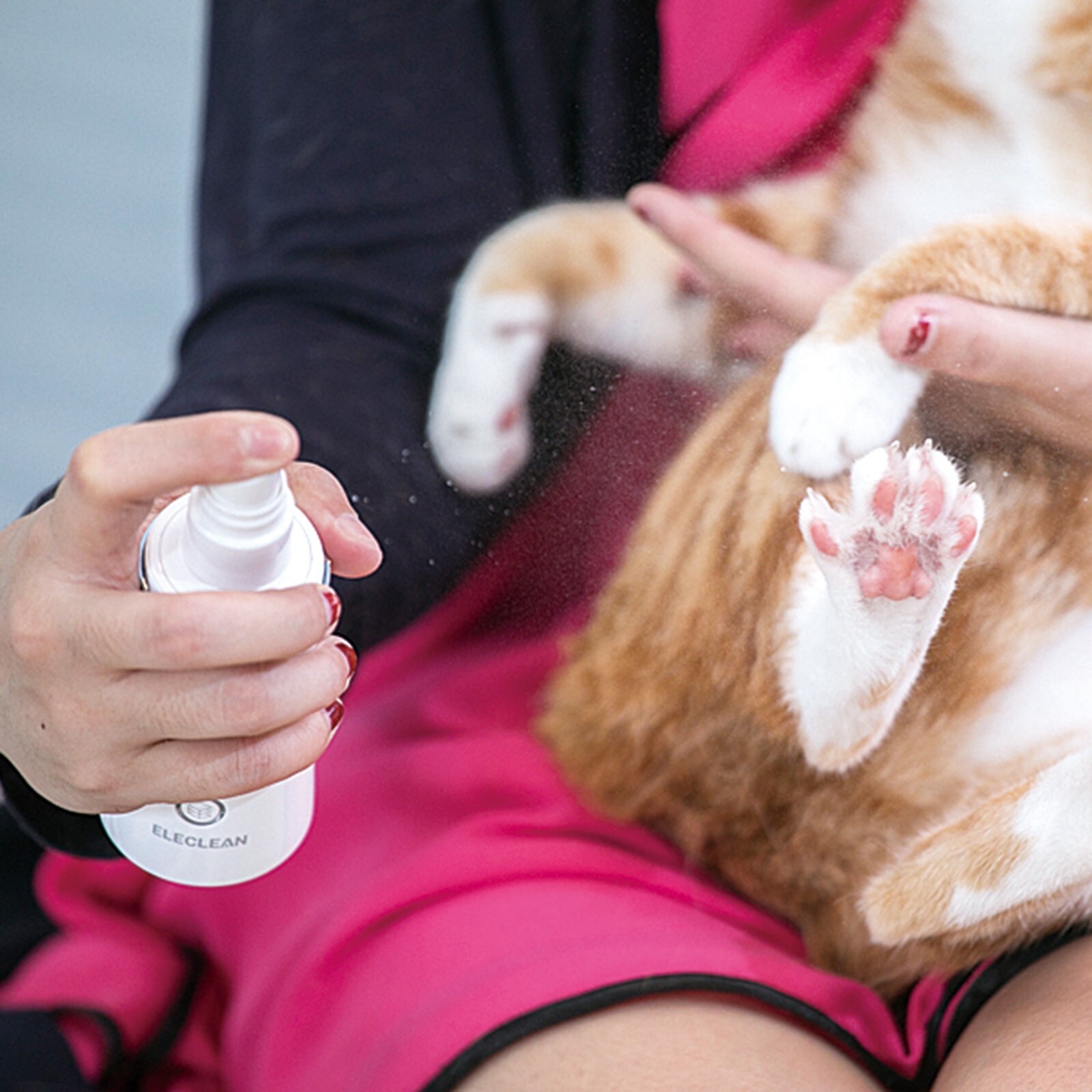 Eleclean Portable Disinfectant Spray Device Alcohol-Free Solution