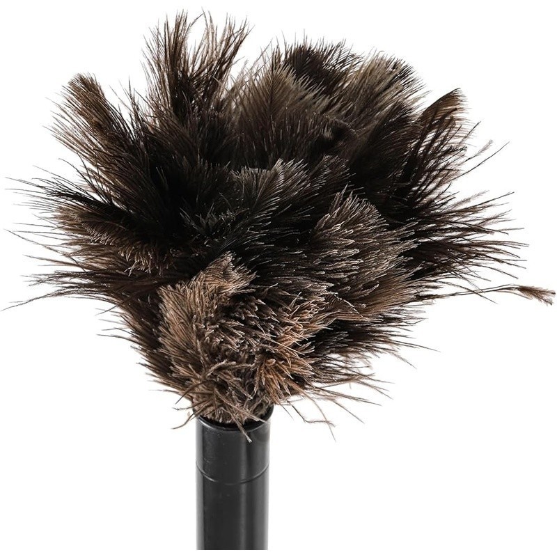 Extendable Feather Duster 2pcs Natural Ostrich Cleaning Tool Lightweight Dusting