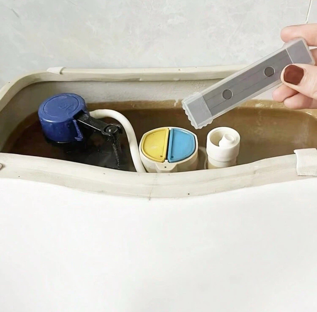 Chemical Free Magnetic Toilet Bowl Cleaner