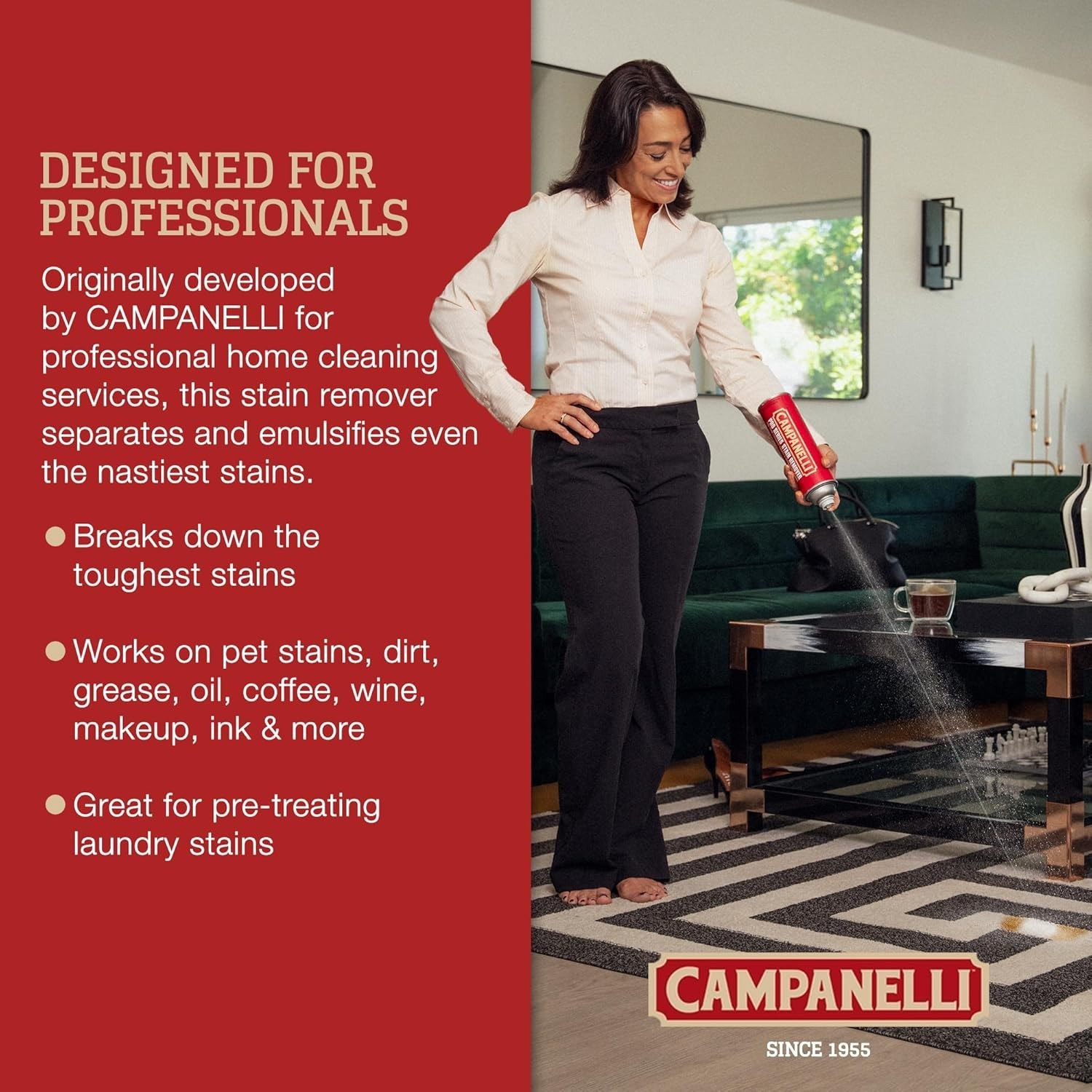 Campanelli Pro Series Stain Remover Point & Spray Carpet & Upholstery Cleaner…