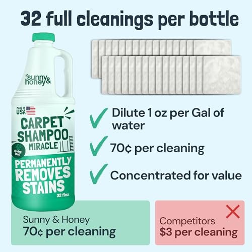 Heavy Duty Carpet Cleaner Solution for 32 Fl Oz (Pack of 1) Spring Mint Scent
