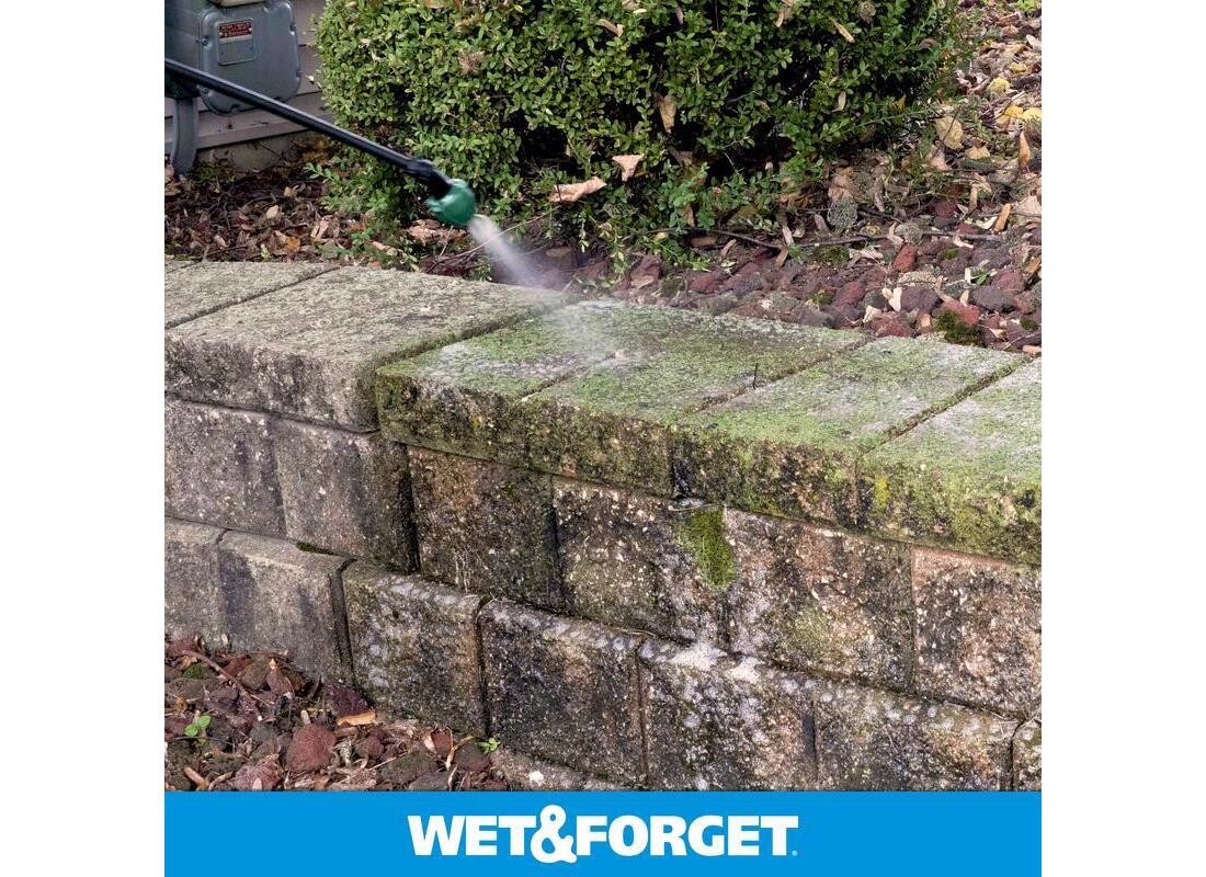 Wet & Forget 800003 Stain Remover, 0.5 gal, Liquid, Slight Almond, Blue