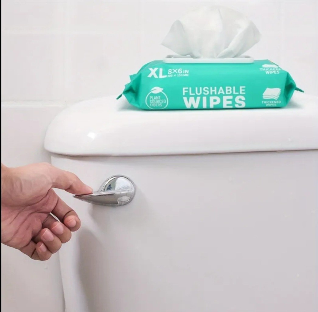 Flushable Wet Wipes For Adults Pack Of 10 480 – Septic & Sewer Safe,Quick Dispen