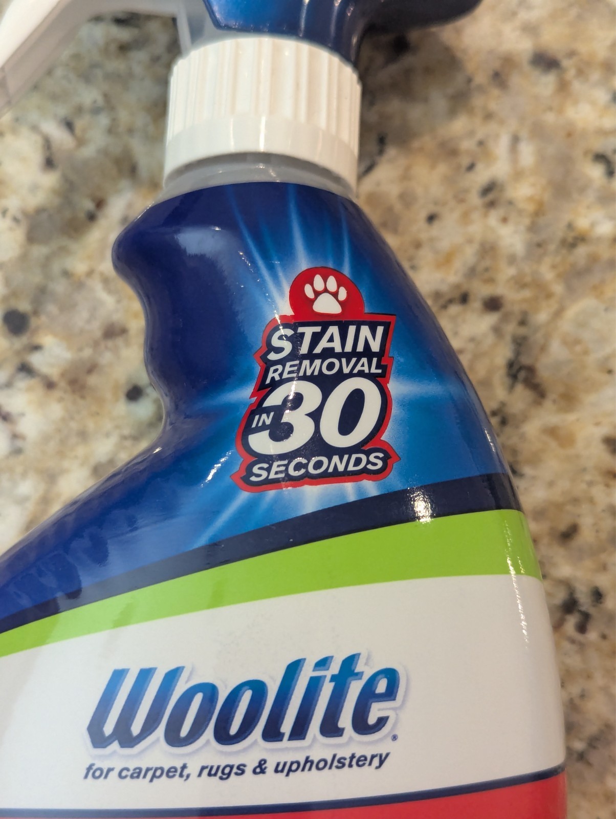 Woolite Insta Clean Oxy Stain Destroyers Stain Removal Carpet Cleaner 22 fl oz