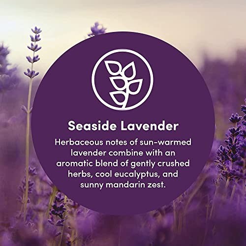 Eco-Friendly Multi-Surface Cleaner Refill, Non-Toxic Plant-Based, Seaside Lavend