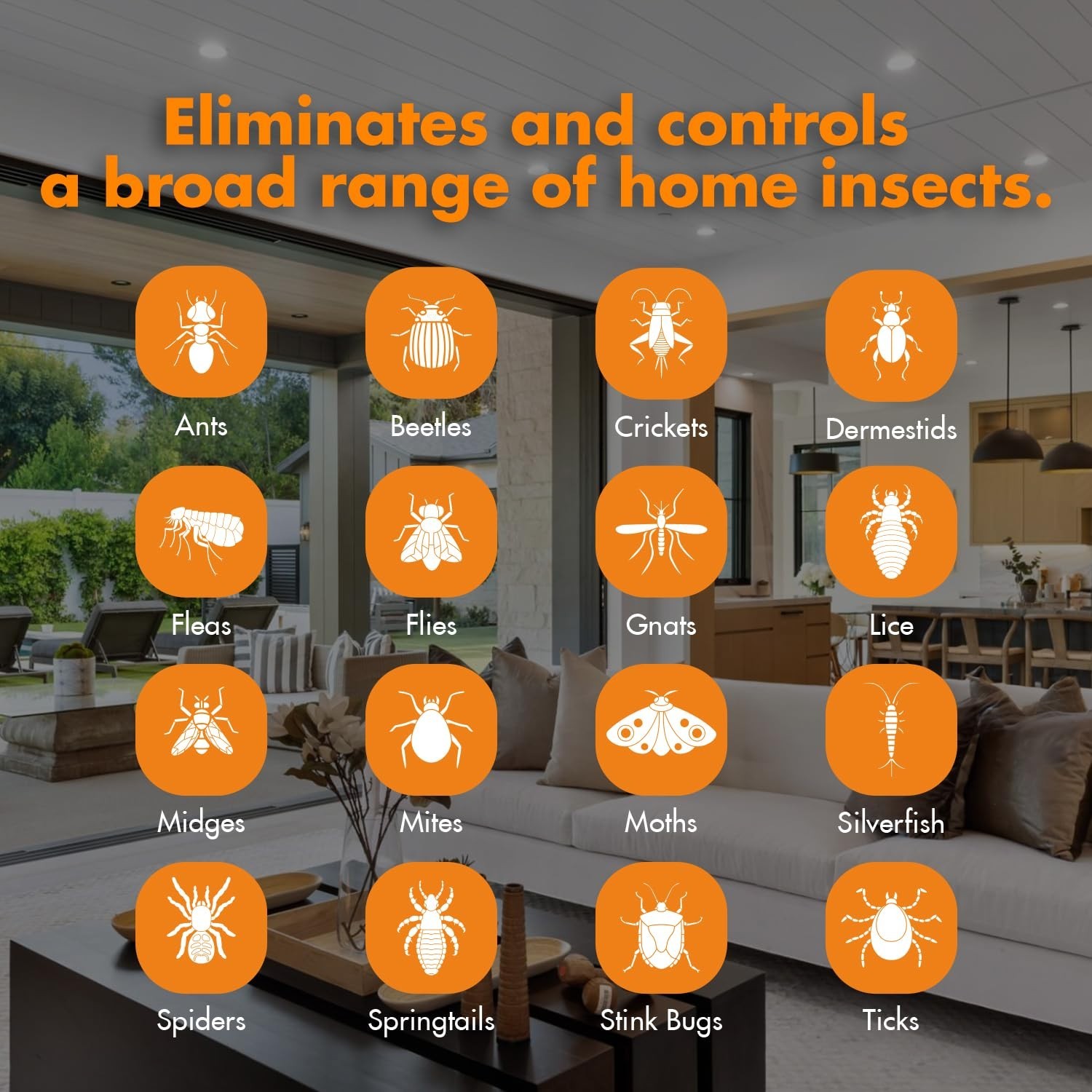 All-Purpose Insect Control 16 oz – Fast Kill Fleas, Roaches, Spiders, Non-Toxic