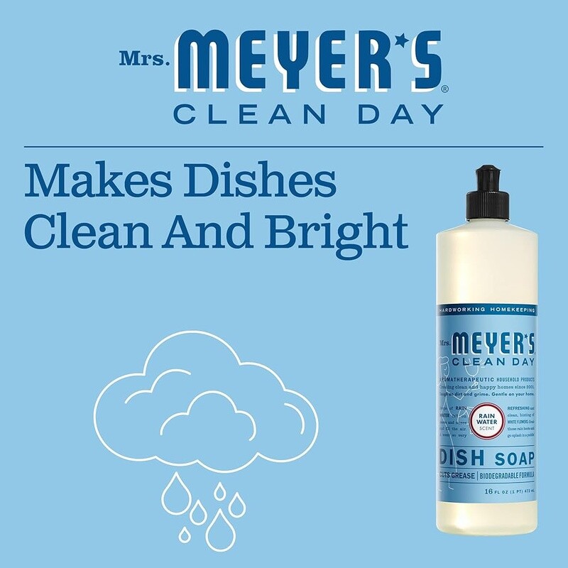 Biodegradable Liquid Dish Soap Rain Water Scent Cruelty Free Eco-Friendly 16oz