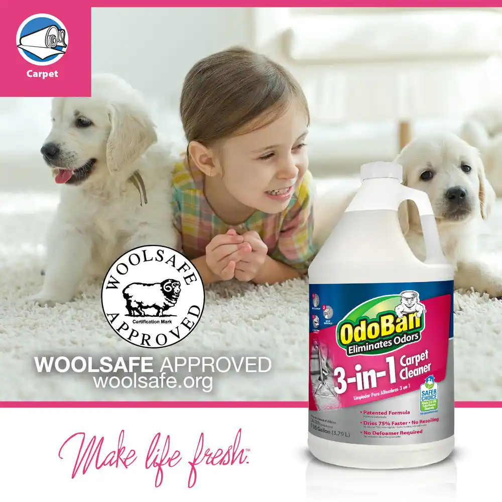 NEW 1 Gal. 3-In-1 Carpet Cleaner Concentrated Carpet Cleaning Solution Fast Dry
