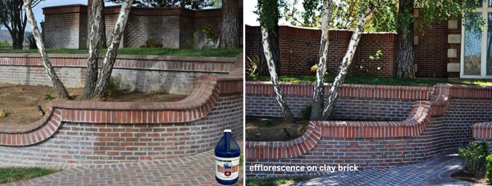 Eaco Chem White Scum Presoak – Remove White Deposits from Brick & Concrete 4 GAL