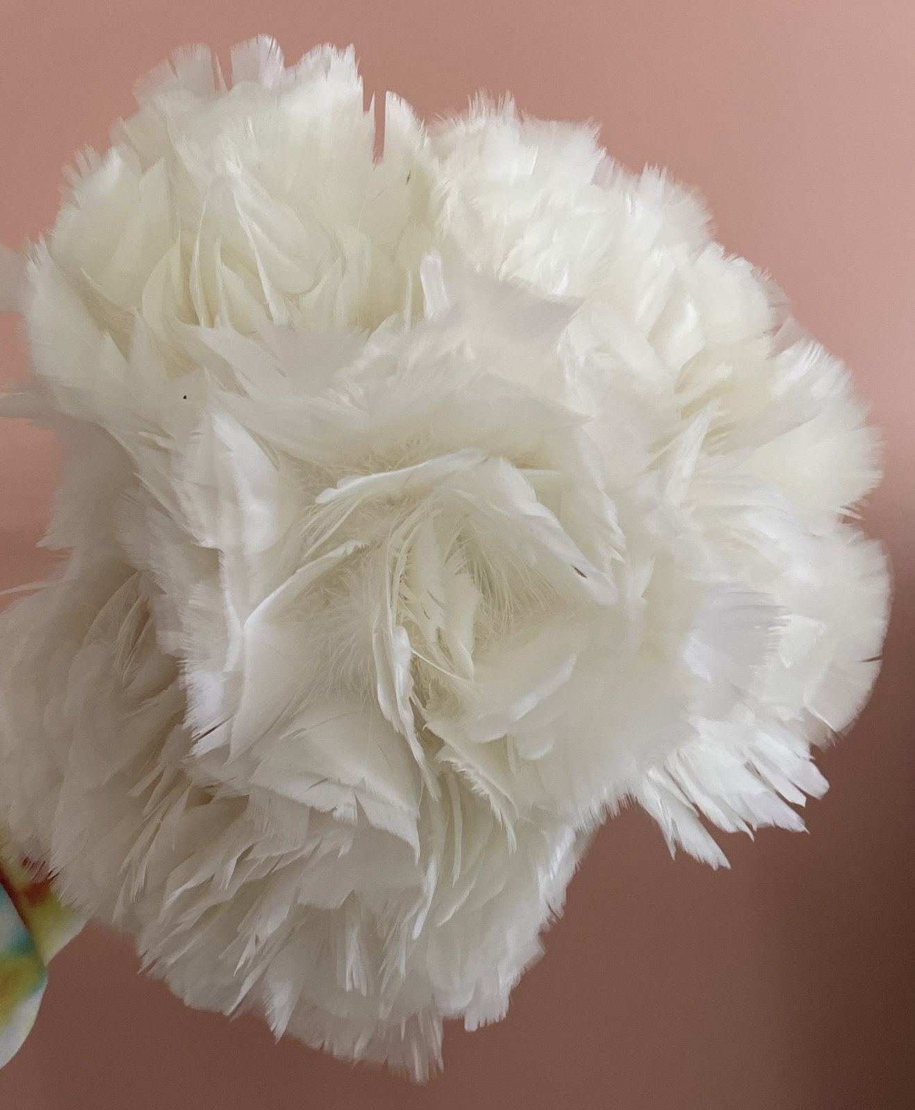 Anti Static Duster Lot Cleaner Plastic Handle Turkey Feather Home Cleaning X6