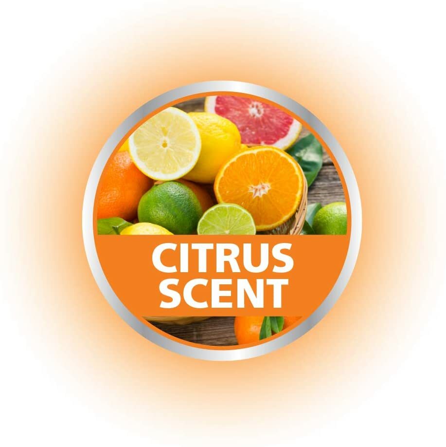 Rejuvenate Disposer & Pipe Cleaner with Foaming Deoderizing Action, Citrus Scent
