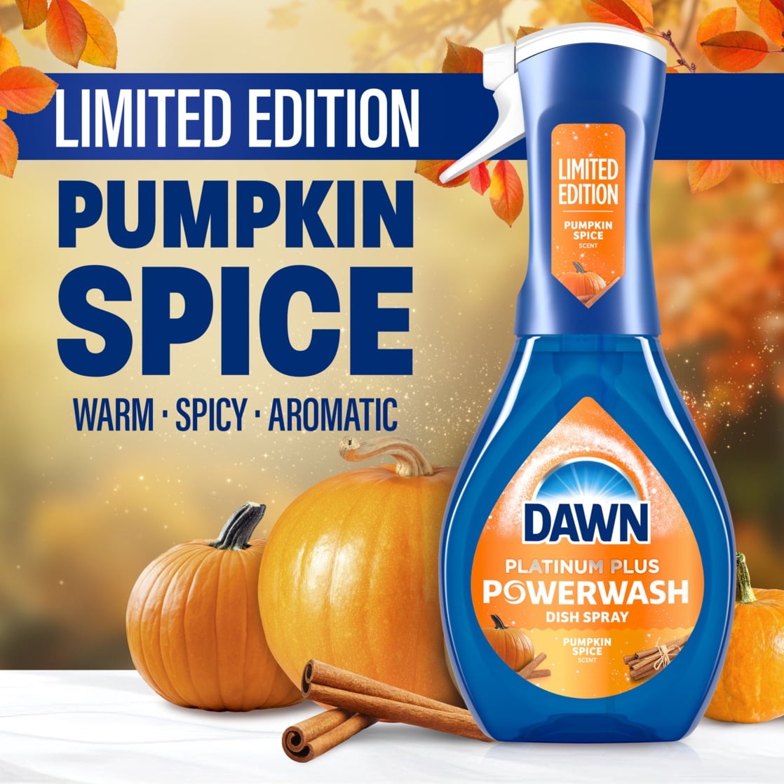 Pumpkin Spice Dishwashing Liquid Soap Powerwash Spray Starter Kit 16 fl oz