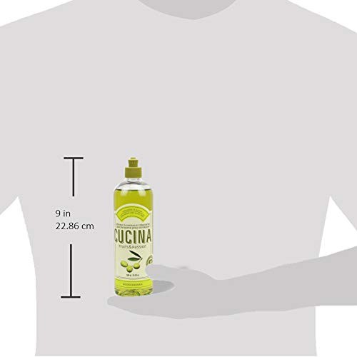 Coriander and Olive Dish Detergent 500ML