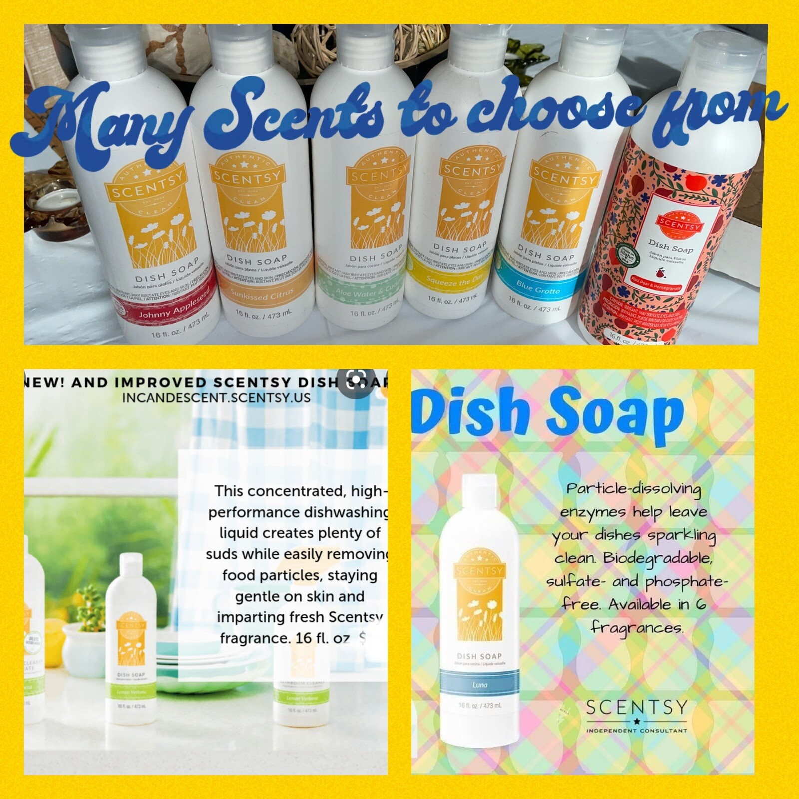 Scentsy DISH SOAP ~ Clean Smell ~ Full Sz Scented VerySnowy Spruce Citrus Grotto