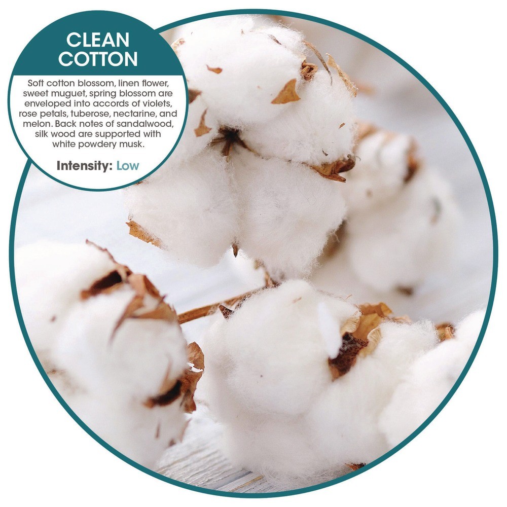 Fresh Products OFB48CBBX Cotton Blossom Ourfresh Airfreshener (8/Box) New