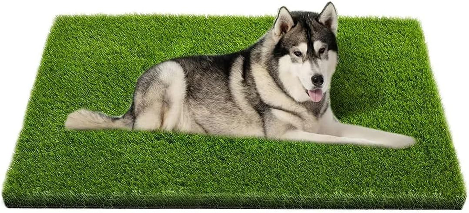 Artificial Grass Dog Potty Training Mat 47.3×31.5 in with Drainage Holes