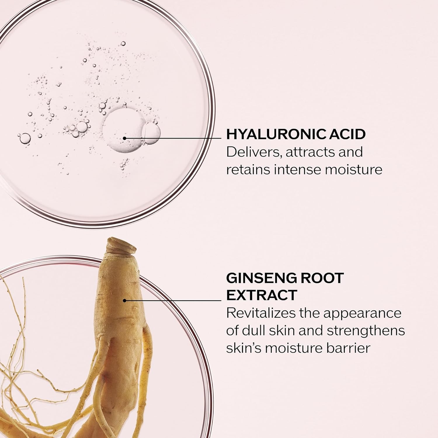 Shiseido Essential Energy Hydrating Cream – 50 mL – Visibly Reduces the Look o