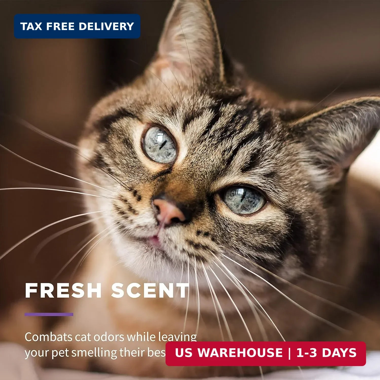 Wet Ones for Cats Freshening Wipes, Multi-Purpose Cat Grooming Wipes with Aloe V