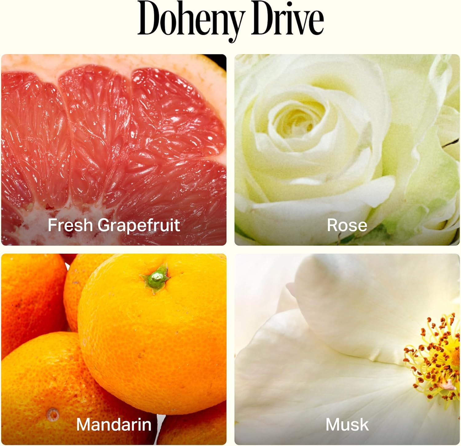 Luxury All-Purpose Cleaner, Doheny Drive Scent | Bio-Based Multi-Surface Spray |