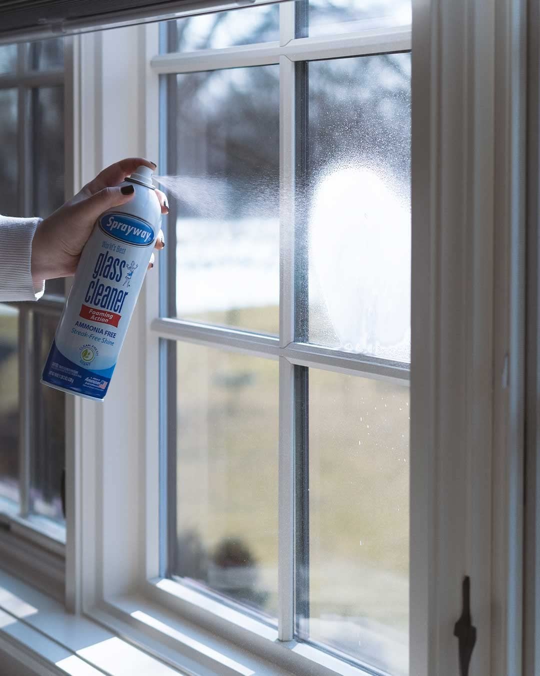 Streak-Free Foaming Glass Cleaner Spray for Home & Auto, 19 oz, Pack of 12