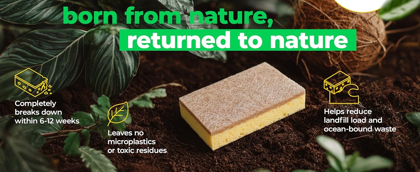 12 Pack Natural Biodegradable Kitchen Sponges – Eco-Friendly, Compostable,