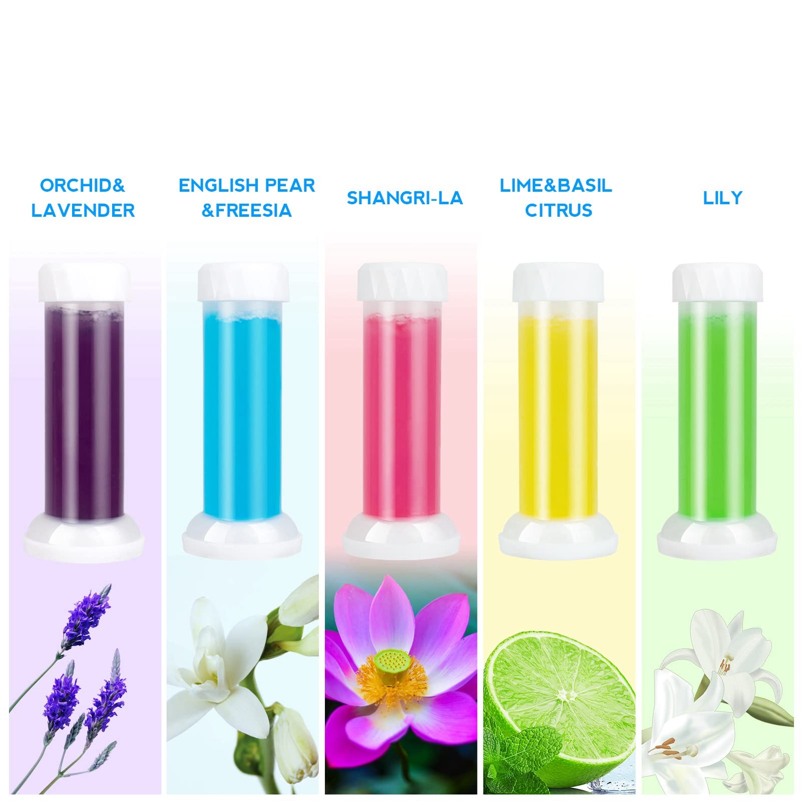 Toilet Gel Stamp Kit Bowl Cleaner Air Freshener Refill 5 Scents 60 Count
