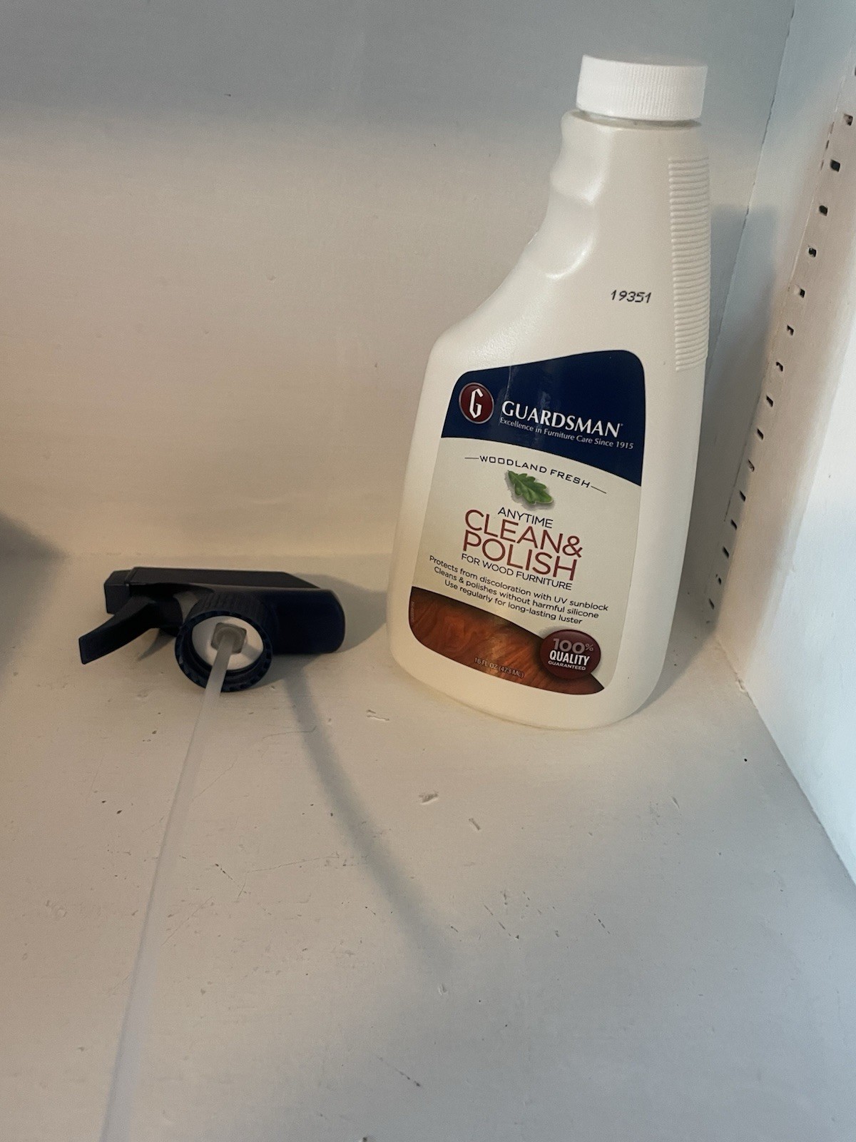 Guardsman Revitalizing Wood Polish Woodland Fresh 16 Oz Spray Furniture Cleaner