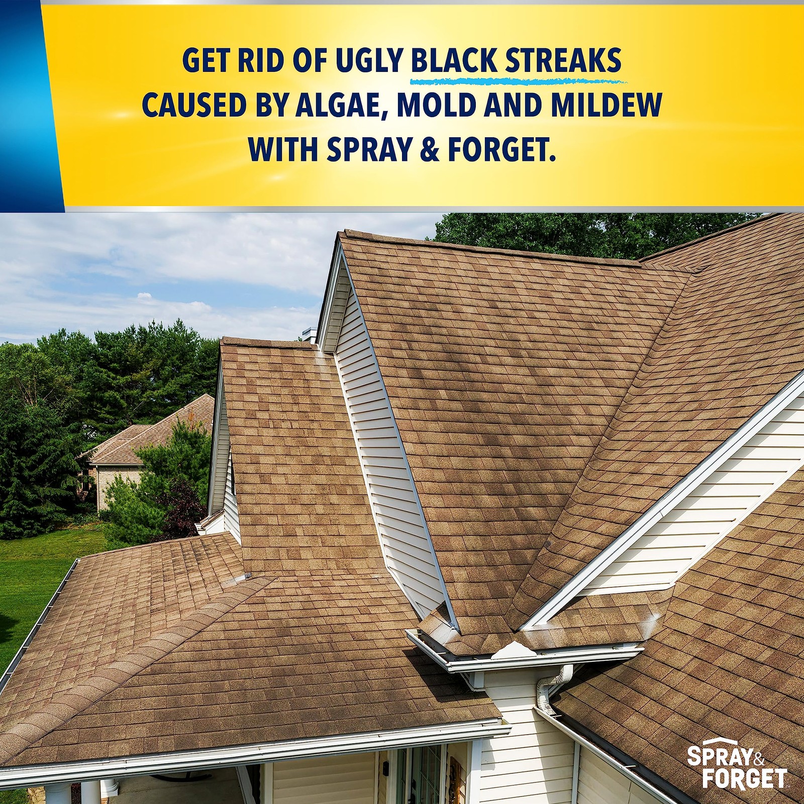 Spray Forget Super Concentrated Roof Cleaner 32 Oz Removes Black Streaks Stains