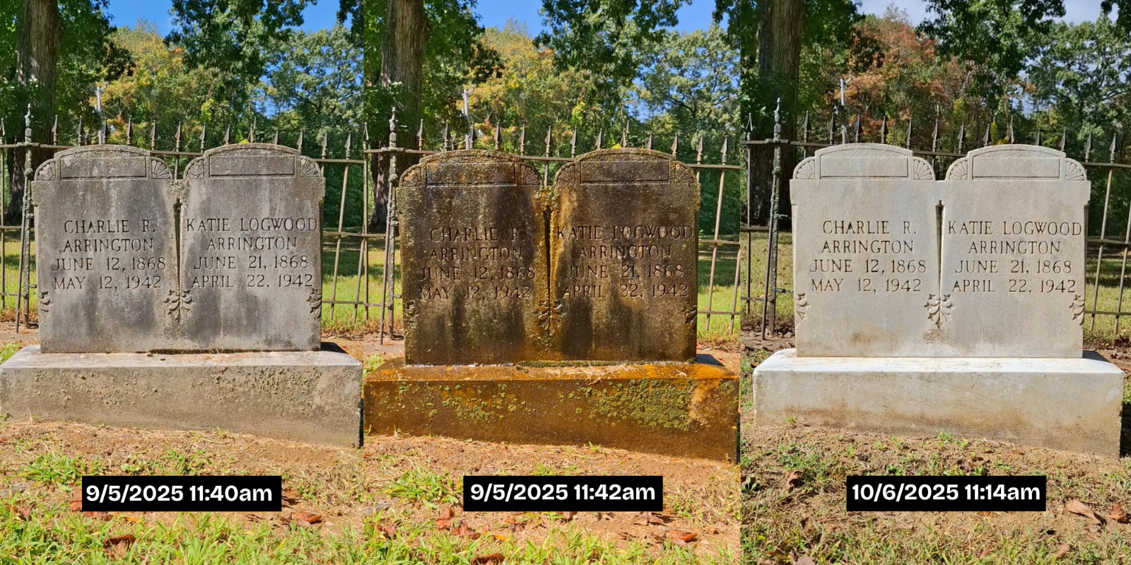 MINI Endurance Gravestone & Monument Cleaning Set
