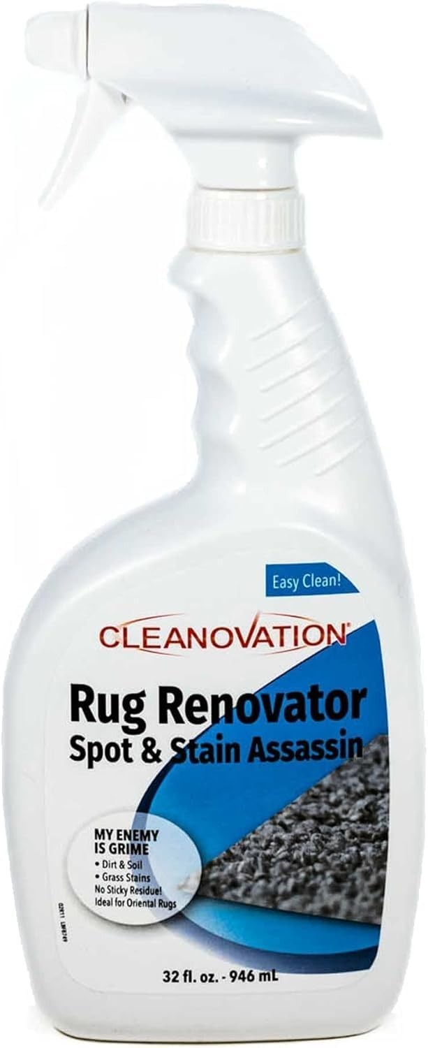 Ergonomic 2-in-1 Carpet Scrubber with Long Handle & Stain-Removing Shampoo