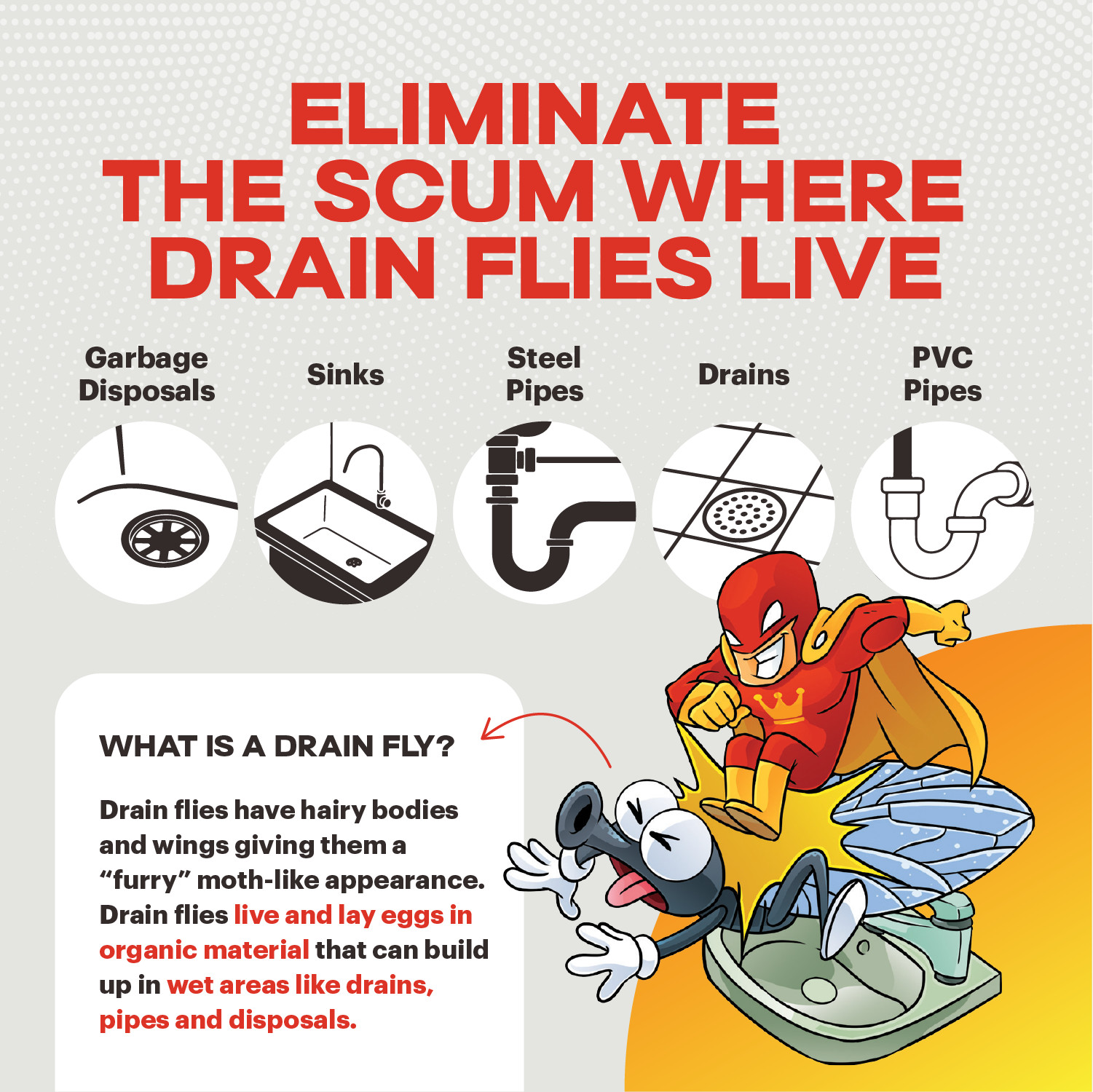 Scum King Drain Cleaner – Clean Where Drain Flies Live – 32 oz Drain Cleaner