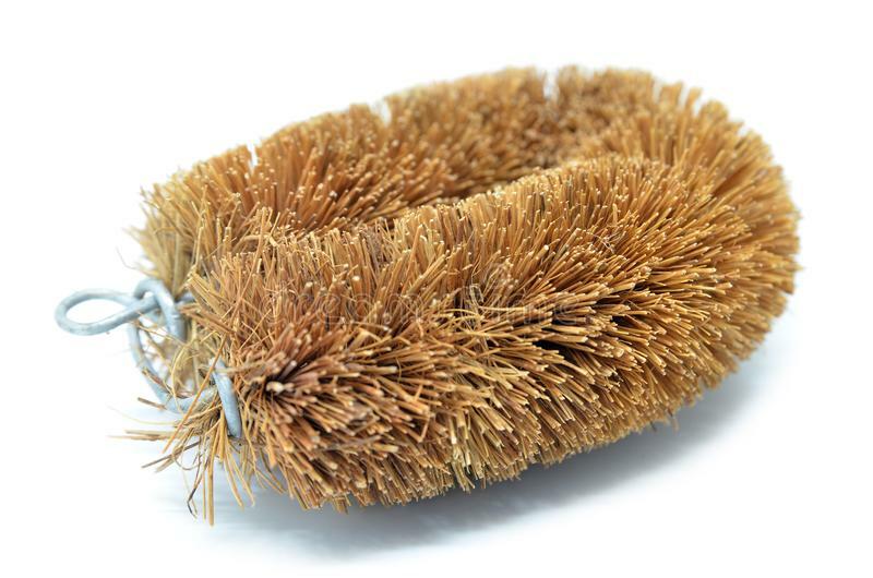 Brush Natural Free  Cleaning Brush Scrubbing Coconut production