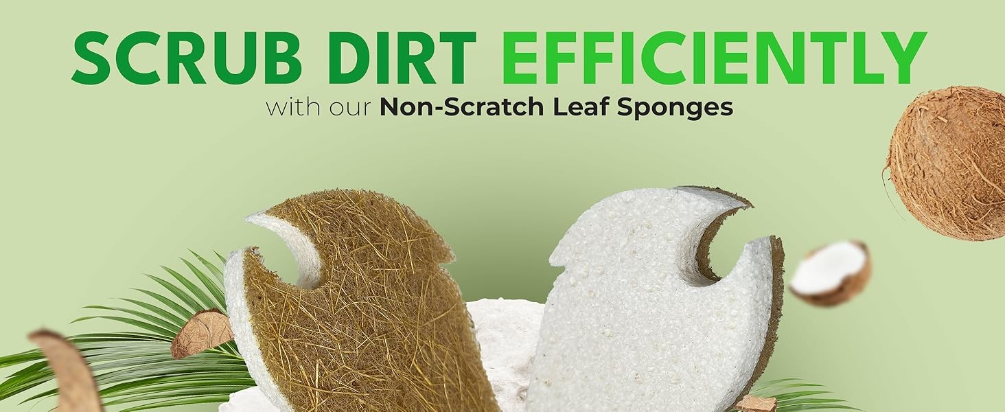 Natural Kitchen Sponges (6 Pack) – Biodegradable Cellulose & Coconut Scrubber