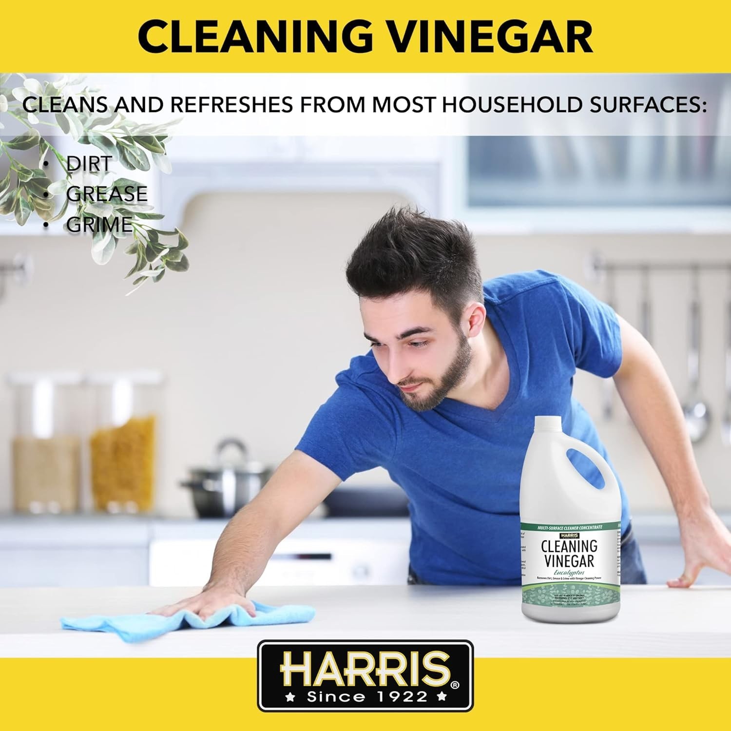 Cleaning Vinegar All Purpose Household Surface Cleaner, 128oz Eucalyptus with…