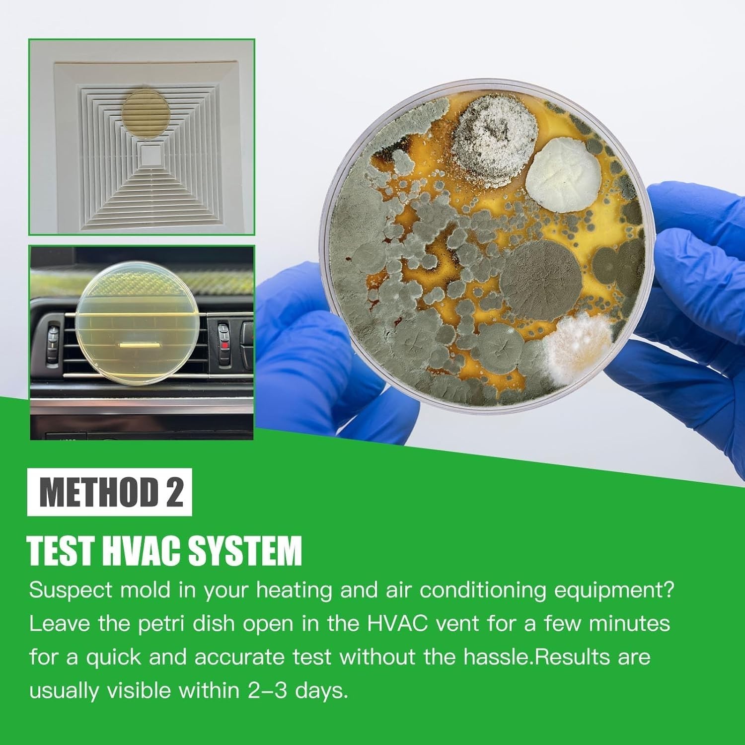 Mold Kit for Home Within 12 Individual Tests,DIY Detector at Home, Surface M…