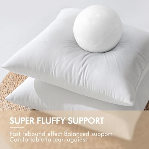 MIULEE 2 Pack 18×18 Inch Outdoor Pillow Inserts Waterproof Decorative Throw Form