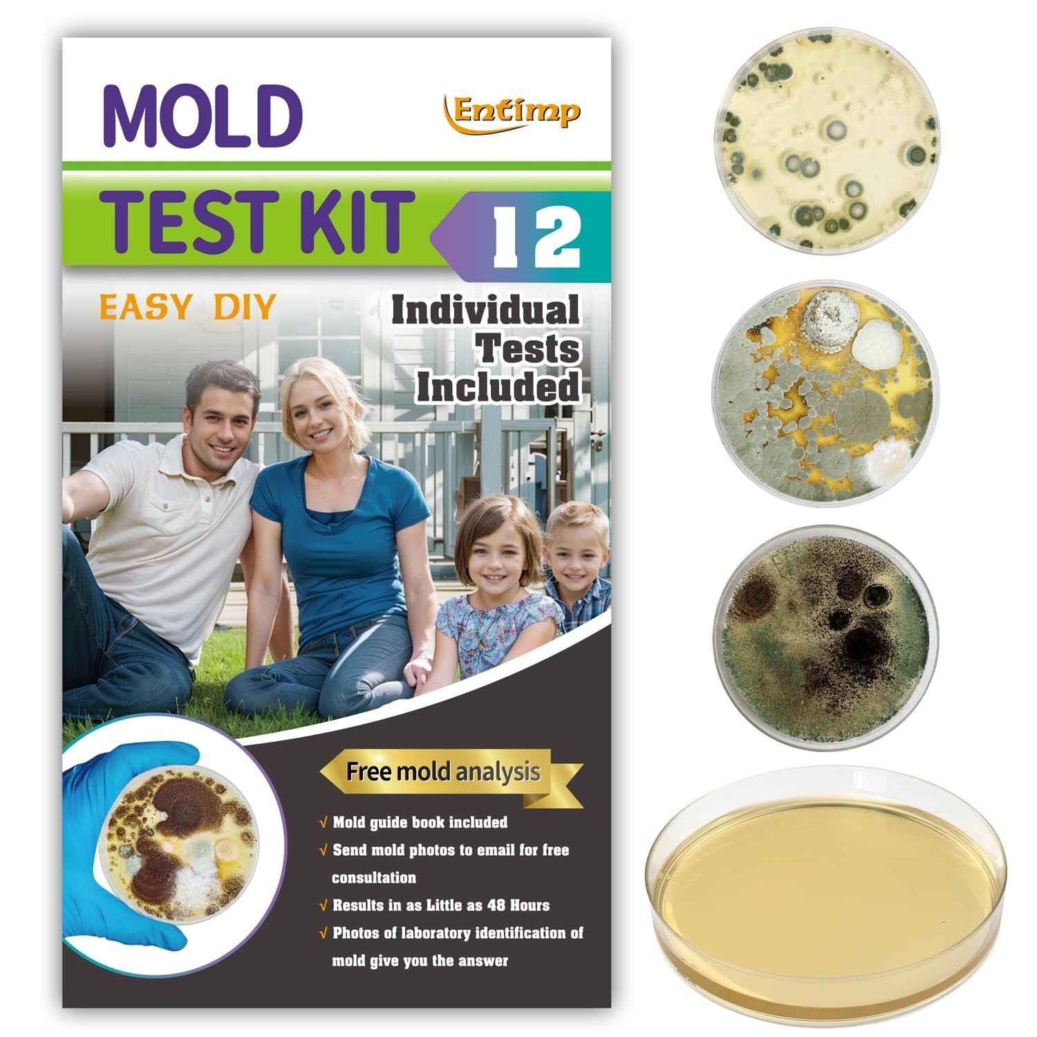 Mold Kit for Home Within 12 Individual Tests,DIY Detector at Home, Surface M…