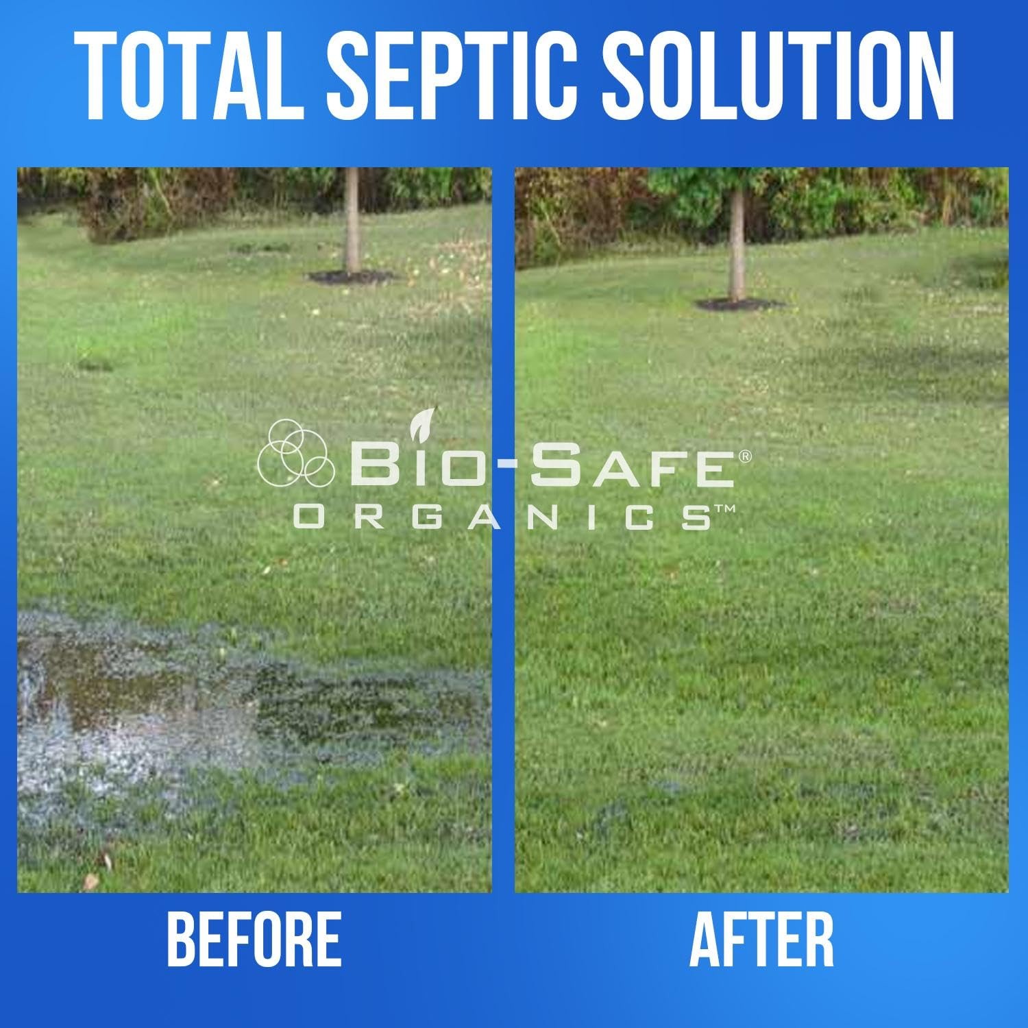 DrainFix & Septic Restorer 32 oz Enzyme Septic Tank Treatment & Drainfield