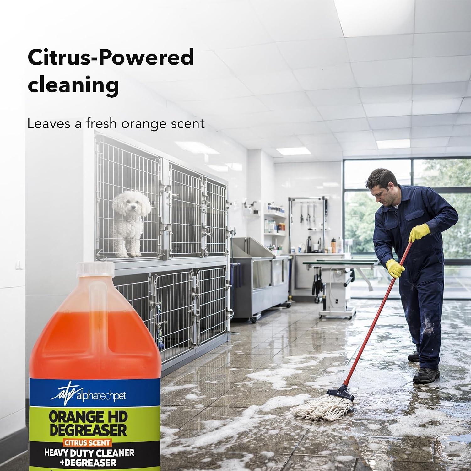Citrus Heavy Duty Cleaner – Safe for Delicate Surfaces