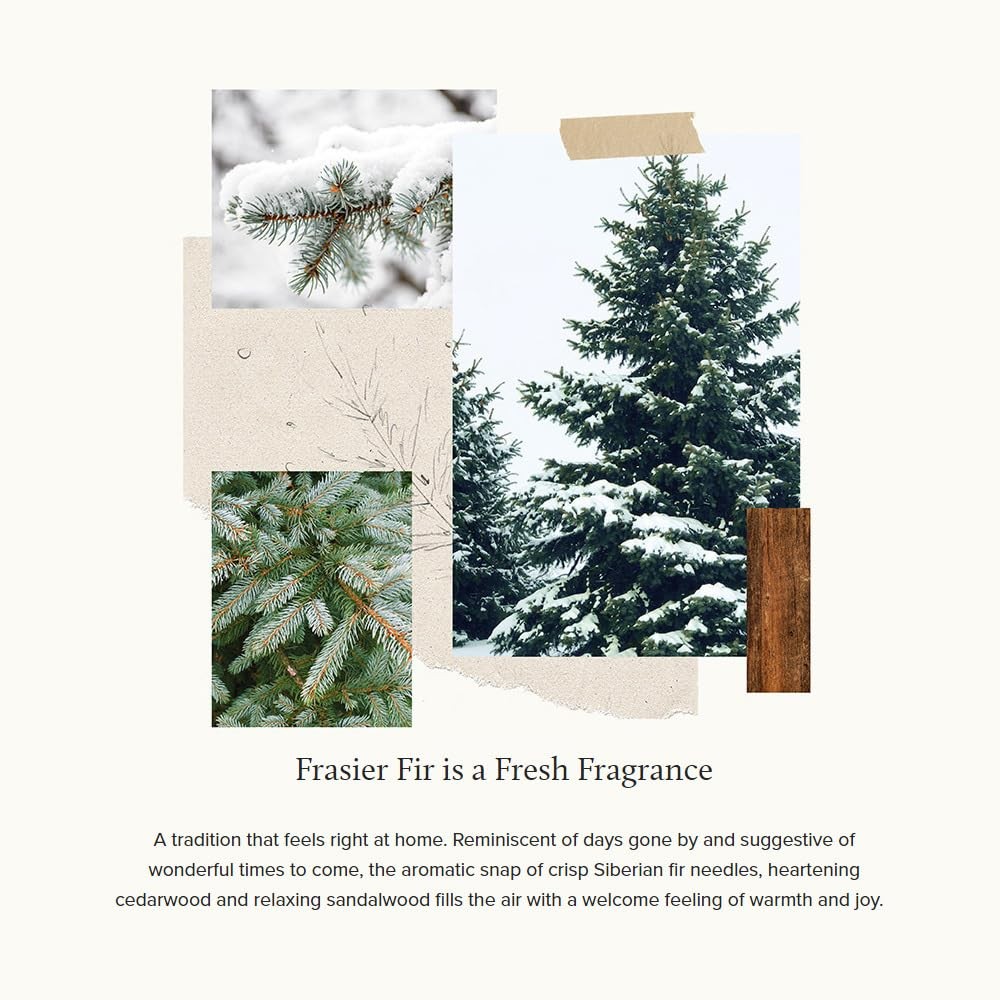 Thymes Soft Surface Scrub – Frasier Fir – Multipurpose Surface Cleaner –