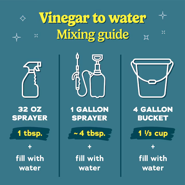 SALE- 3 PACK- WORRY FREE 30 percent Concentrate Cleaning Vinegar 1 -Gallon