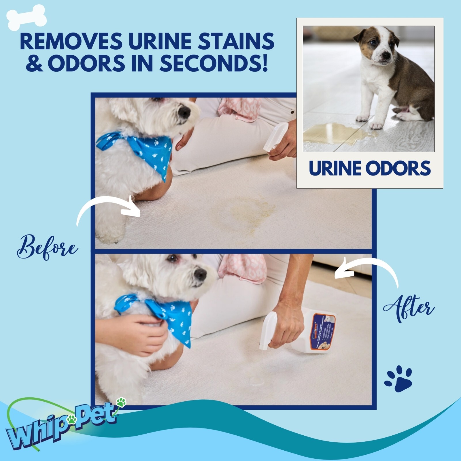 Whip-Pet® Pet Stain & Odor Remover Gallon Size NEW IMPROVED FORMULA